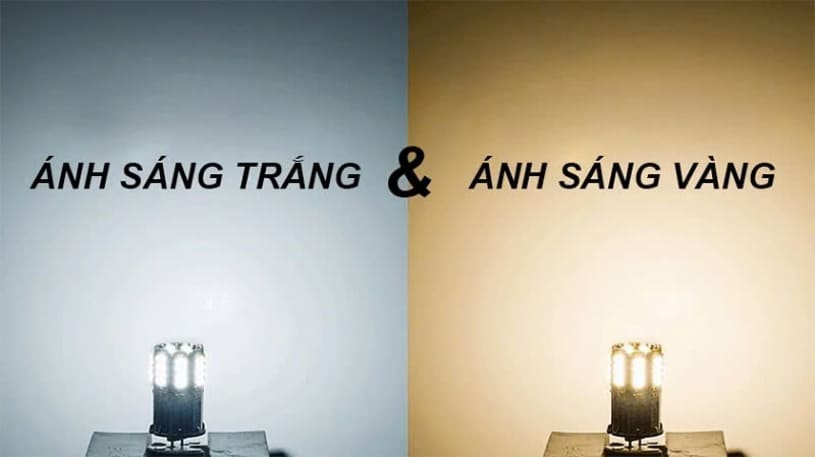 tac-hai-cua-anh-den-vang